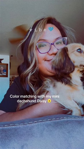 Color Matching with My Mini Dachshund Daisy