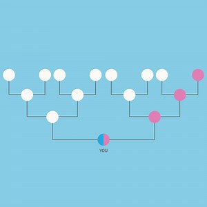 5 Things You Need to Know About Taking an AncestryDNA Test | Ancestry