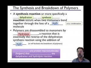 Biomolecules (Part I)