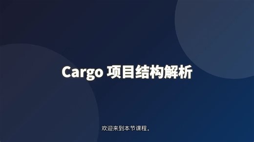 Cargo 项目结构解析