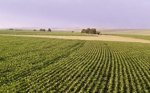 432HZ的声音是能让人体达到极度舒适的频率，放下手中的工作，一起冥想，放空，疗愈；清晨瑜伽_舒缓身心：我做不了大事，我至少能把小事做得大气一点_哔哩哔哩_bilibili