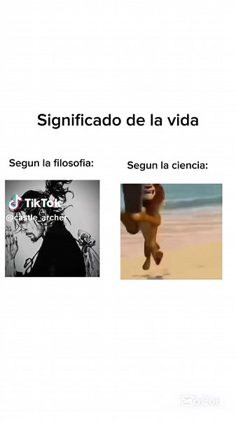Significado de la vida según la filosofía y ciencia