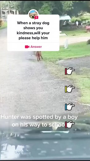 #question from @aabbf1107 #greenscreenvideo