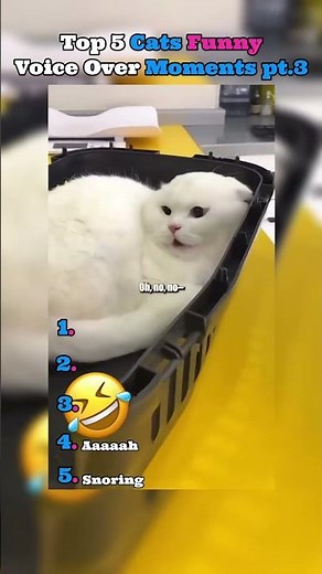Top 5 cats funny voice over moments🤣🤣🤣