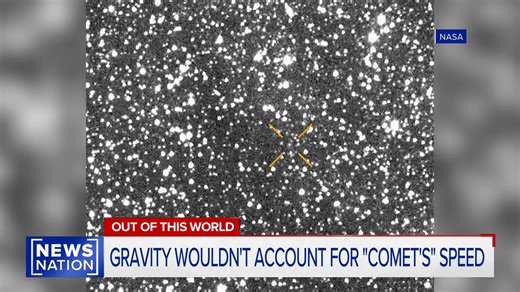 19K views · 202 reactions | ALIEN STARSHIP or COMET? A Comet the size of Manhattan is headed our way! Harvard physicist Avi Loeb shares his latest observations of 3I/ATLAS and describes how the comet is different from other interstellar objects. Watch Banfield weeknights at 10p/9C only on NewsNation. To find NewsNation on your screen: NewsNationNow.com | Ashleigh Banfield | Facebook