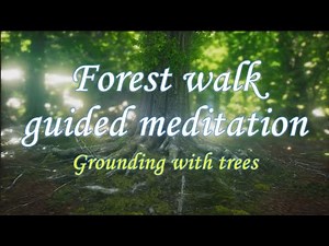 Forest walk guided meditation🌳Grounding with trees 🌿🐦