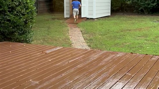 DIY Wasp Nest Removal