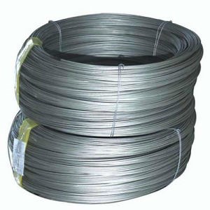 [Hot Item] Electro Galvanized Steel Wire Rod with High Quality