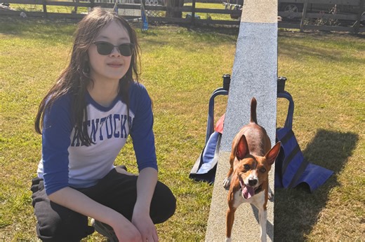 Meet AKC National Agility Championship Competitor 'Shazam!'