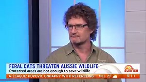 118K views · 367 reactions | Feral cats threatening Australian...