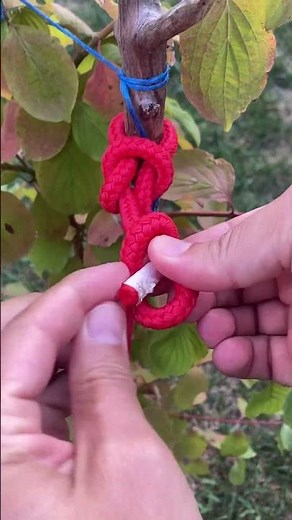 Arbor Knot – Best Knot to Attach Line to a Fishing Reel! 🎣 #shorts