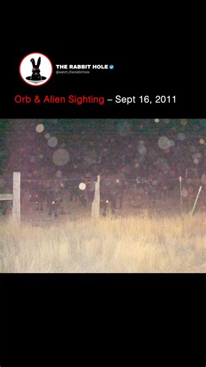 Orb & Alien Sighting – Sept 16, 2011 | The Rabbit Hole