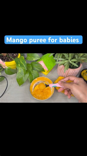 Simple Mango Puree Baby Food | No Sugar Added #babyfood #recipe #kidsfavourite