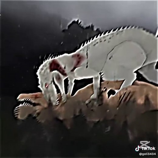 Cuentas recomendadas