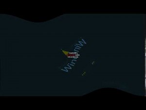 Windows XP Cot Major 4