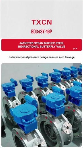 BD343Y一16P JACKETED STEAN DUPLEX STEEL BIDIRECTIONAL BUTTERFLY VALVE-TXCN