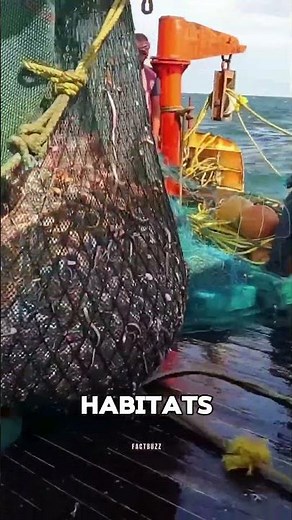 Why People Throw Rocks Into the Ocean