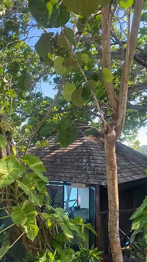 A view from the Ocean Spa. | Jamaica Inn