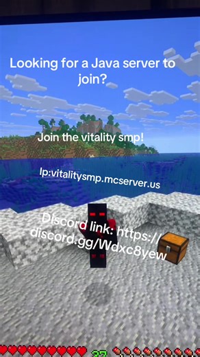 #mine #minecraft #java #smp