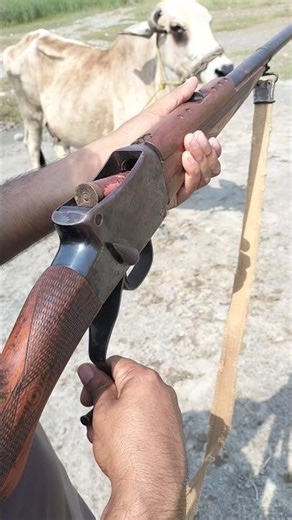 The Most Powerful Shot Gun Review | Shot Gun Load Unload Very Easily