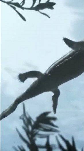Peces con características extrañas #tierra #universo #documental #ciencia #shorts