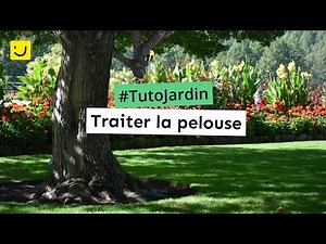 [Tuto Jardin] Traiter la pelouse