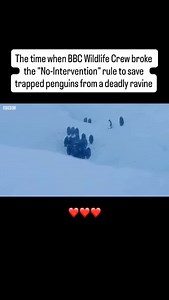 3M views · 85K reactions | One of my fav tv moments I’ve ever...