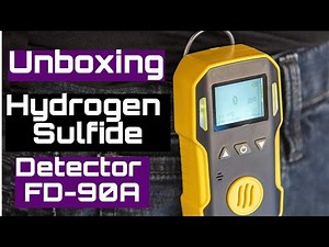 Hydrogen Sulfide Detector
