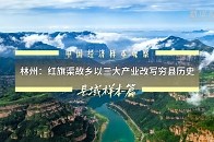 中国经济样本观察·县域样本篇丨林州：红旗渠故乡以三大产业改写穷县历史_腾讯新闻
