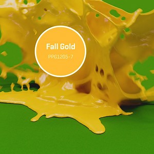 25K views · 111 reactions | WST is excited to expand its far-reaching partnership with Johnstone's Trade Paints to include title sponsorship of the Masters for the next three years! | WST | Facebook