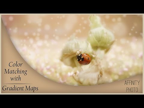 Color Matching with Gradient Maps in Affinity Photo