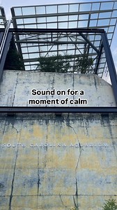When life gets hectic, sometimes it helps to take a moment to just listen... 👂 Wherever you are in your busy day, pause for a few seconds of calm with us and enjoy the sounds of South Carolina songbirds ✌️ ☀️ Pro Tip: The Aquarium sits between the Charleston Harbor and Liberty Square, two diverse habitats, so enjoy a morning walk our way to hear a wide variety of bird calls! | South Carolina Aquarium