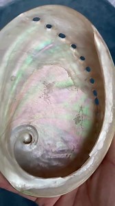 Polished White Abalone Shell 5inch/ 13cm, Seashell, Coastal Decoration , Table Decor , Smudge Bowl for Holding Smudge Sticks, 2 E048 - Etsy