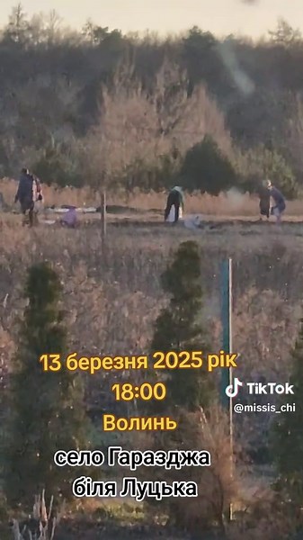 Картопля в Волині: Посадка 2025 року