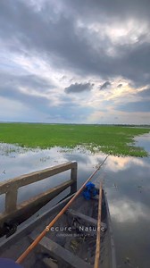 5.8K views · 253 reactions | পানিতে ভাসছে সবুজ রং সাথে ফুরফুরে বাতাস আর লম্বা নিঃশ্বাস। | drone server | Facebook