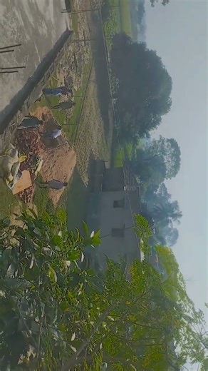 Pubg# BGM I video #video 🙏🙏🙏new creator