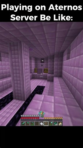 Playing On Aternos Server Be Like: | Minecraft