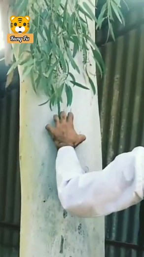 The master of tiger claw #kungfu #martialarts #shorts