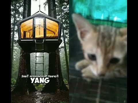 3 alat canggih dari masa depan #alatcanggih #shortvideo #shorts