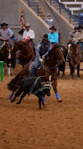 76K views · 1.4K reactions | Ok Billie Jack Saebens, so the horse...