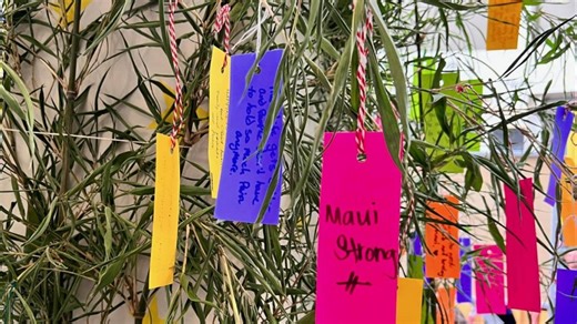 Tanabata festival returns to ‘Imiloa in Hilo for first time since 2019, drawing thousands | Big Island Now