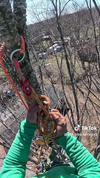 Gracias por el salva ramas @espuelita treeservice28800 para todos aquellos que quieran comprar herramienta, buena bonita y barata tácten a mi amigo #arborist #arboristclimber #arborists #arboristlife #arboristwork #arb #climb #climbing #rope #harness #treesurgeon #treesurgery #treesurgeryuk #treework #treeworker #chainsaw #gopro #video #birch #freefall #chainsawman #cutting #fell #stihl #stihlchainsaw #climber #tree #removal #shaping #tapping #brush #pruning #stump #grinding #emergency #tree #ca