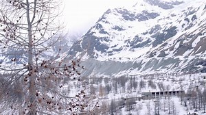 Winter, Snow, Landscape. Free Stock Video