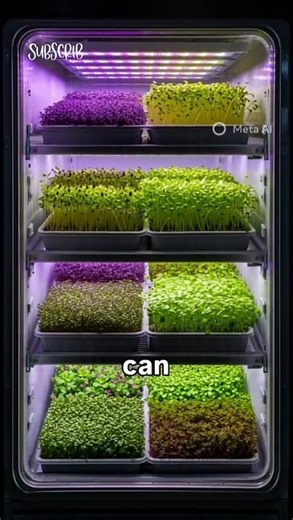 Tiny Sprout Farm Business Idea Mini Indoor Microgreens Startup Small Space Farming Idea 2025 Tiny Sp