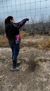 1.5M views · 11K reactions | Setting the fence snares this afternoon. It was a drizzly rainy day, but sure felt good to be back on the fence! #razorbacksnares #shetraps @texastrapping #dunlaplures #predatorcontrolgroup | SheTraps | Facebook