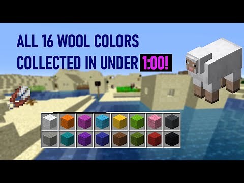 Minecraft All Wool Speedrun - Collecting Every Wool Color in 48.890 Seconds!