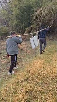 묘비석 운반 홍성 벌초 작업 | Korean Grass Cutting