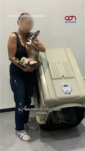 Incredible! Dog stolen in Michoacán turns up thousands of miles away