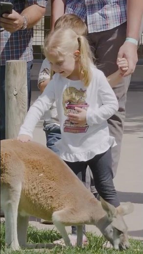 Sneak Peek of What You’ll Experience at the Ark Encounter!