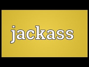 Jackass Meaning